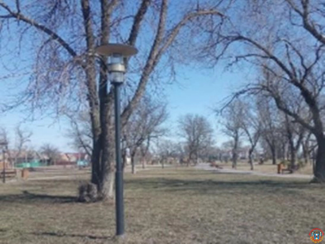 В Сальске во время прогулки в парке умер 30-летний мужчина