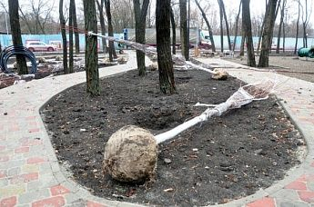 Пощадили 200 из 700 деревьев: в Ростове завершают реконструкцию парка «Осенний»