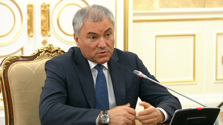 Володин указал на повторяющуюся "мантру"