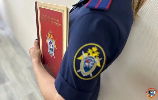 Проверку по делу о травме ребенка в Ростове-на-Дону взял на контроль Бастрыкин