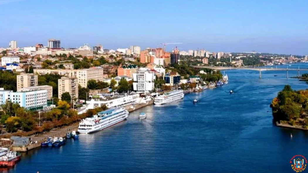 Волонтеры помогли читательнице &laquo;Ростова официального&raquo;