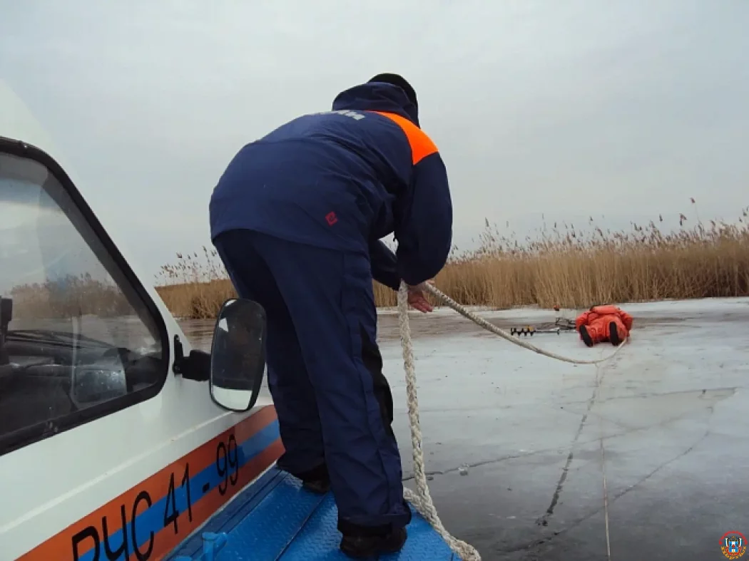 Девять пожаров и четыре ДТП ликвидировали спасатели в Ростовской области за минувшие сутки