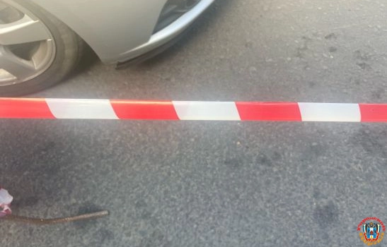 Под Ростовом водитель иномарки и 8-летний пассажир пострадали в аварии