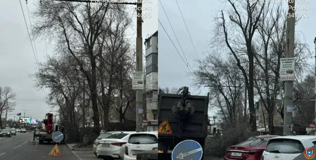 В Первомайском районе Ростова продолжается борьба с опасными деревьями: работы завершены на улице Киргизской