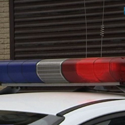 Сбил и скрылся: на бывшего полицейского завели дело после смертельного ДТП