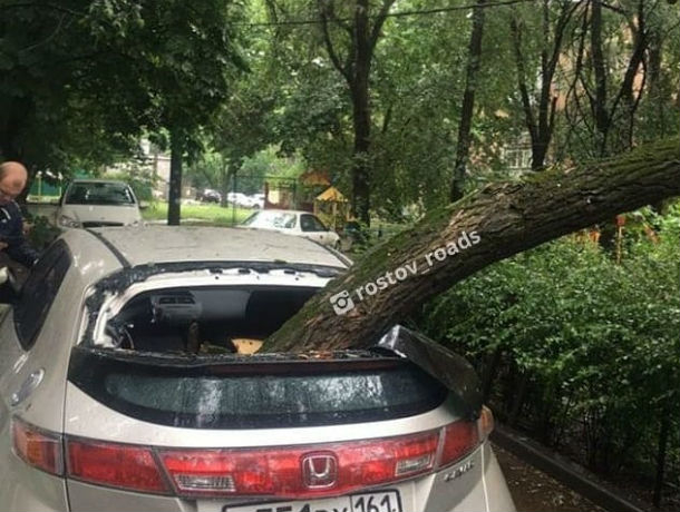 Стихия – разбушевалась: огромная ветка упала на автомобиль в Ростове