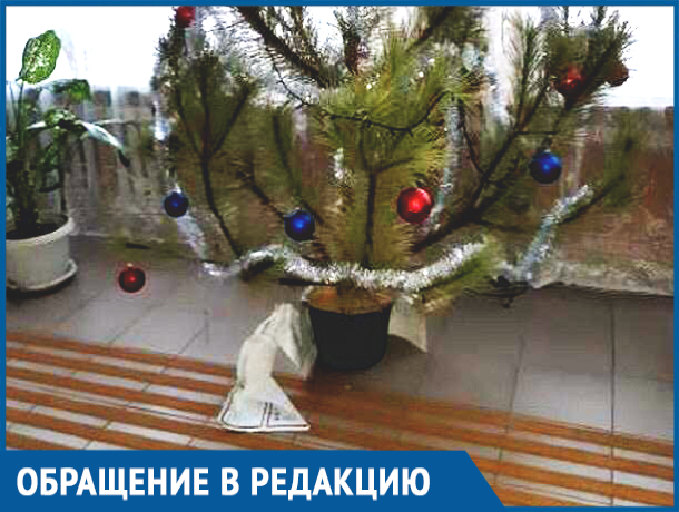 «В собесе елка из документов - вот и наша безопасность», - пожаловался житель Ростовской области «В собесе елка из документов - вот и наша безопасность», - пожаловался житель Ростовской области