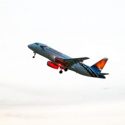 Пассажир самолёта Ростов - Владикавказ ударил стюардессу