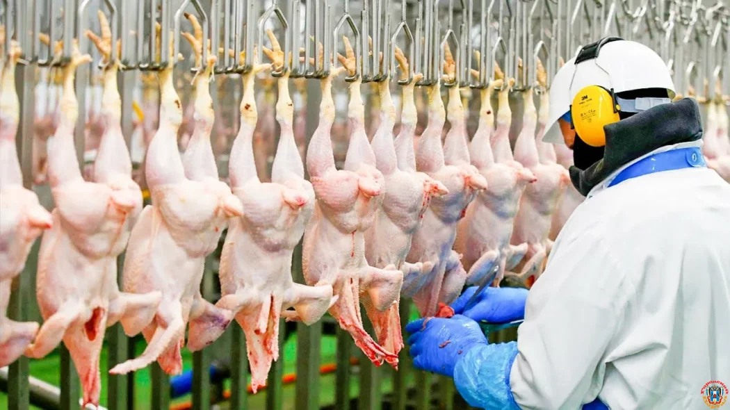 Донской экспорт в КНР: в Китай отправили более 38 тонн птицеводческой продукции и сырья