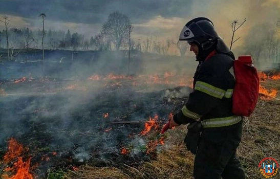 На Дону вновь объявили штормовое предупреждение из-за сильной пожароопасности