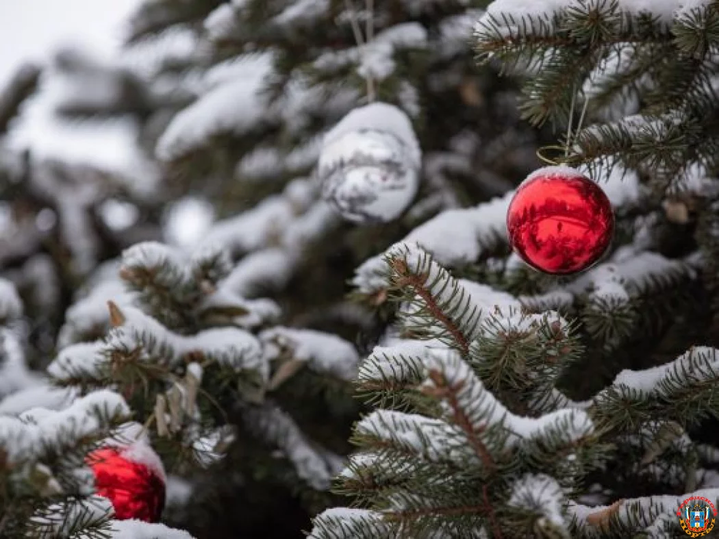 Новогодние украшения и елка в Ростове появятся к 20 декабря