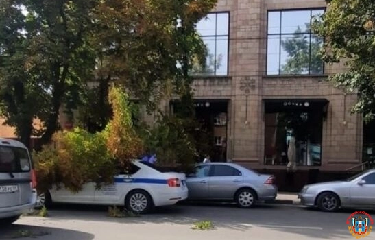 В центре города Шахты дерево упало на полицейский автомобиль