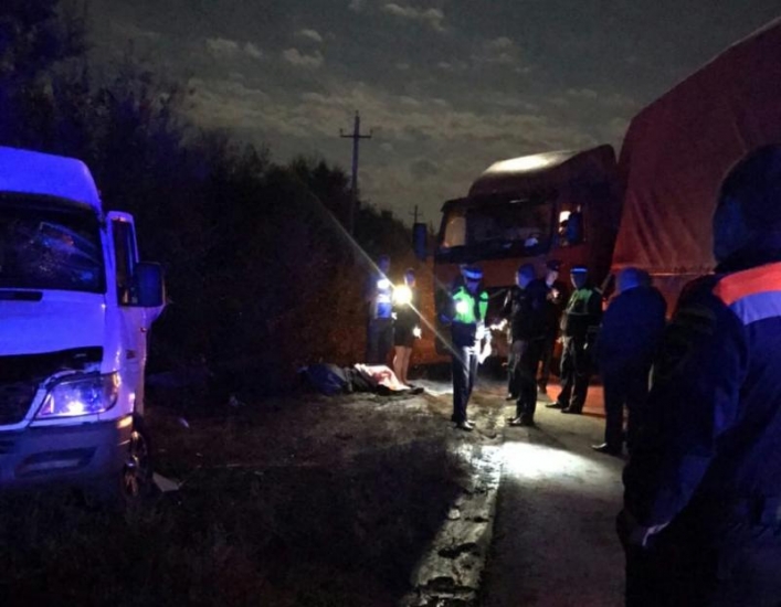 Два человека погибли в ДТП с микроавтобусом в Ростовской области
