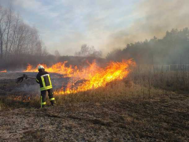 О чрезвычайной пожароопасности предупредили спасатели жителей Ростовской области