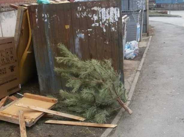 В Ростове-на-Дону сдались еще одни безвольные слабаки и выбросили новогодние елки