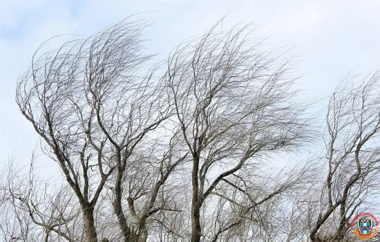 17 декабря жителей Ростовской области ожидает сильный ветер&nbsp;
