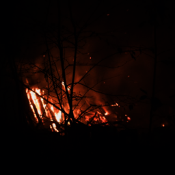 Стройматериалы сгорели дотла из-за пожара на одной из дач в Ростове