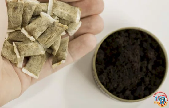 Бетель и гутка Снюс как вид табачного изделия