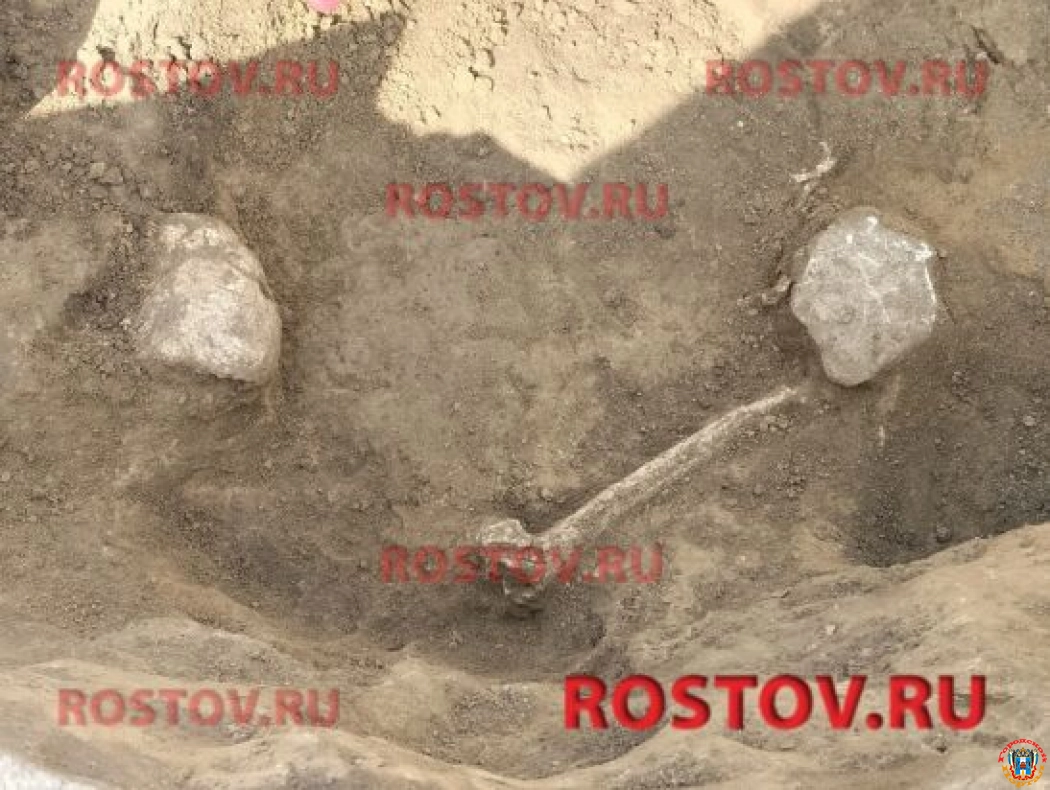 В центре Ростова археологи раскопали череп скифа возрастом две тысячи лет