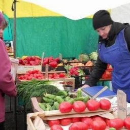 В Ростовской области проводятся продовольственные ярмарки