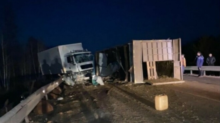 На амурской трассе бараны разбежались из перевернутого грузовика