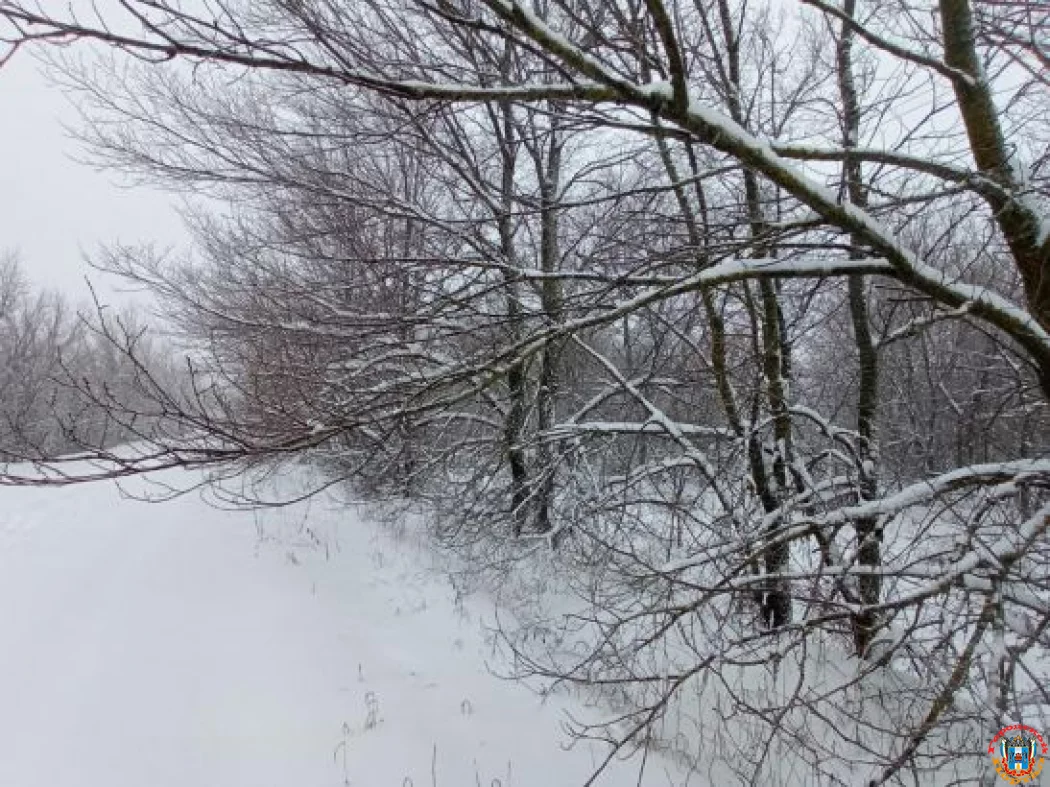 В Ростове на выходных ожидаются мороз и снег