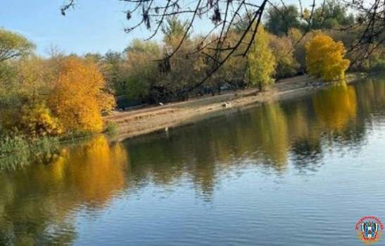 В Ростовской области нашли повешенным 17-летнего студента техникума