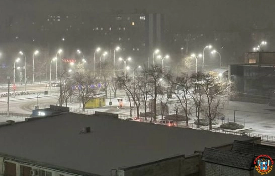 В Ростове на выходных пойдет снег