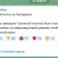 Алексей Логвиненко проигнорировал грохот в небе над Ростовом 29 марта 0