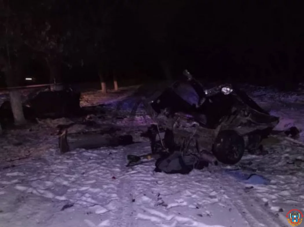 Врезавшись в дерево на «Ладе», погиб мужчина в Ростовской области