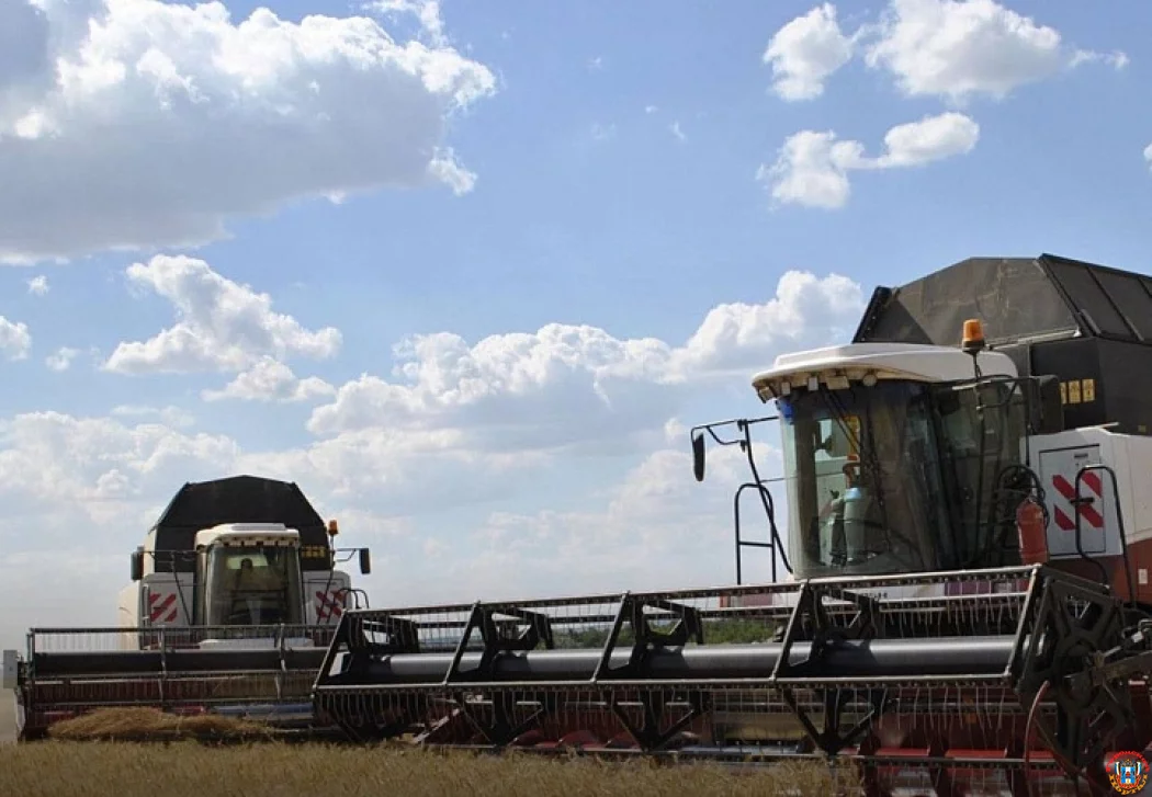 Инвестиции в студентов пойдут в зачет: донская инициатива по налоговым льготам для аграриев получила &laquo;зеленый свет&raquo; в Госдуме