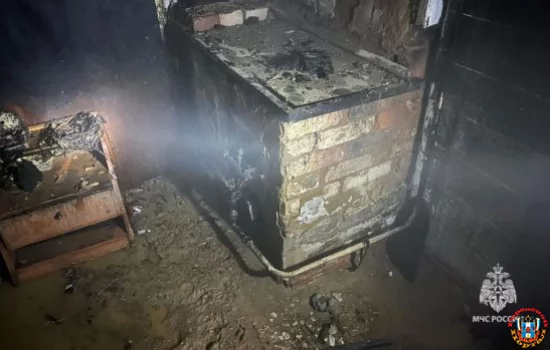 Кошка спасла хозяев при пожаре в частном доме