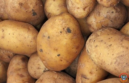 На Дону на картофель для осужденных потратят более полумиллиона рублей