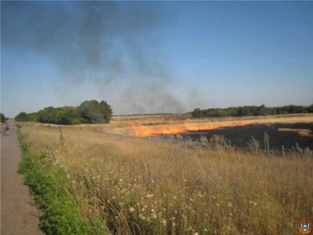Под Новочеркасском полностью потушили крупный ландшафтный пожар