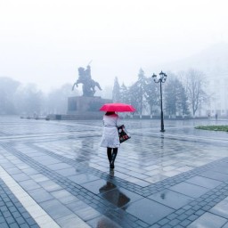 Дождь и сильный ветер ожидаются в субботу, 20 ноября в Ростове