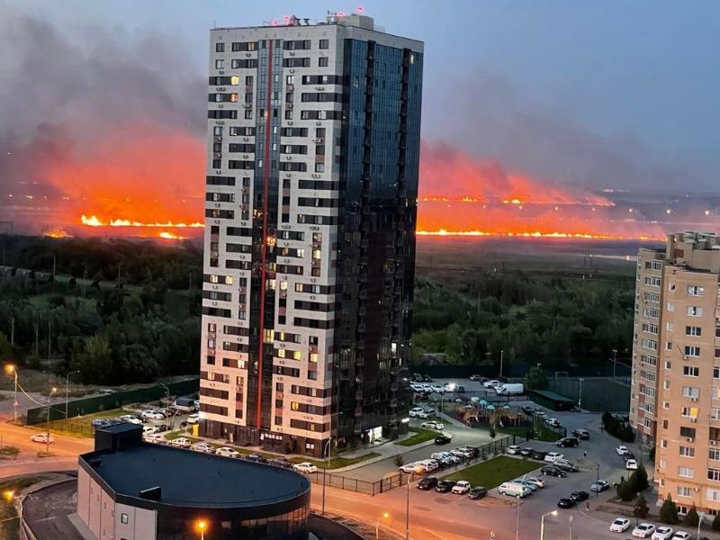 Природный пожар на левом берегу Дона в Ростове локализовали на 60 га