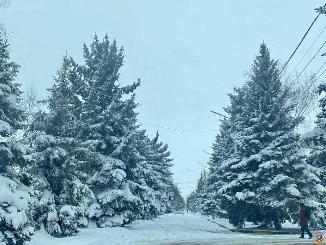 Как жители Ростовской области пережили аномальные холода, увеличив трафик на сайты погоды и доставки еды