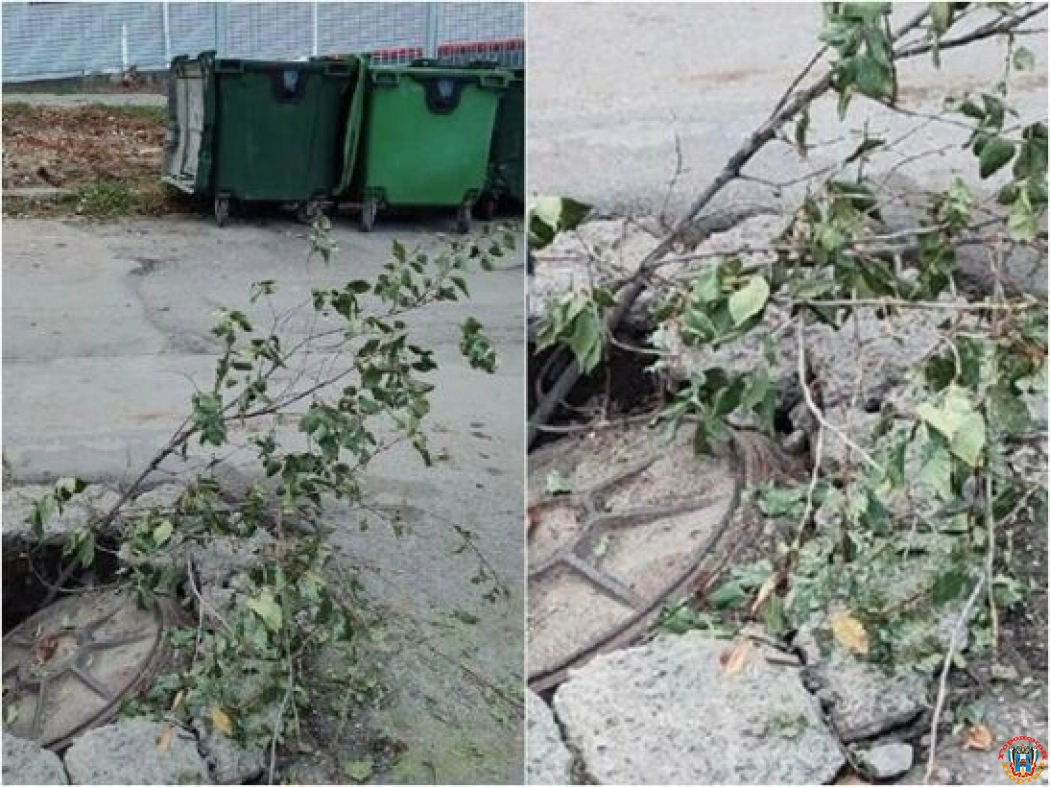 В Ростове под канализационным люком провалился асфальт