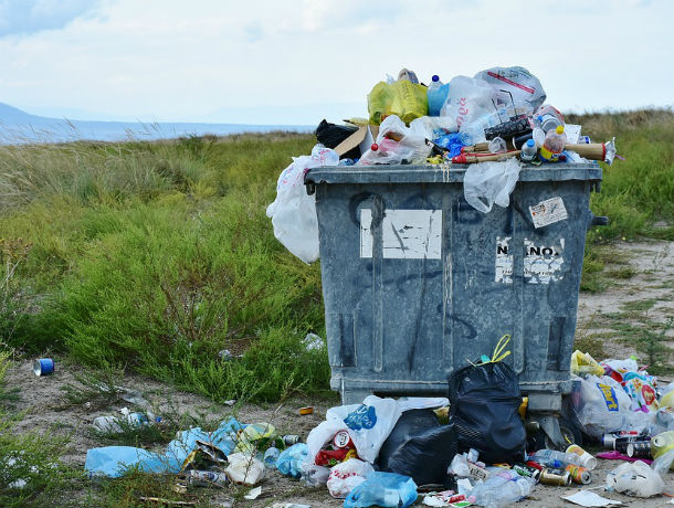 Любителей раскидывать мусор оштрафовали на 30 млн рублей в Ростовской области