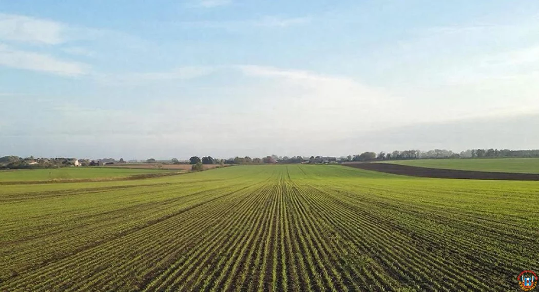 Более 18 гектаров сельхозземель Дона очищены от незаконных свалок в 2025 году