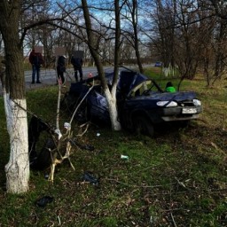 Пассажирка ВАЗа погибла в ДТП на трассе в Ростовской области