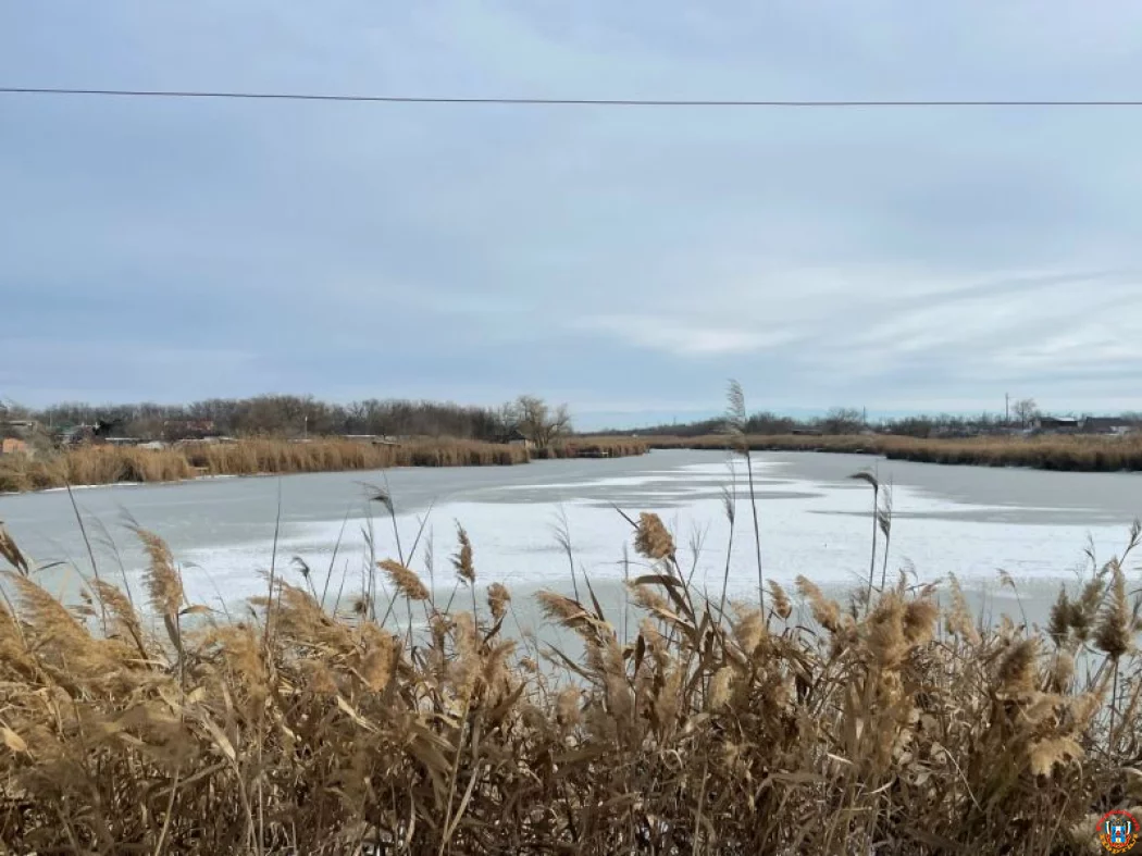 Ростовскую область ожидает резкое ухудшение погоды: от дождей и шторма до арктических морозов