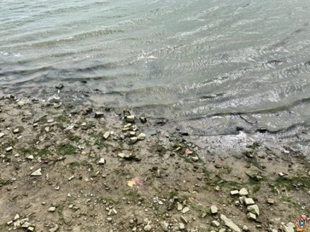 Уровень воды в Дону снизился до критических отметок