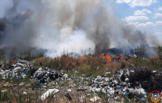 В Донецке на большой площади горит мусорный полигон
