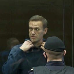 Защита Навального подтвердила, что он находится в покровской колонии