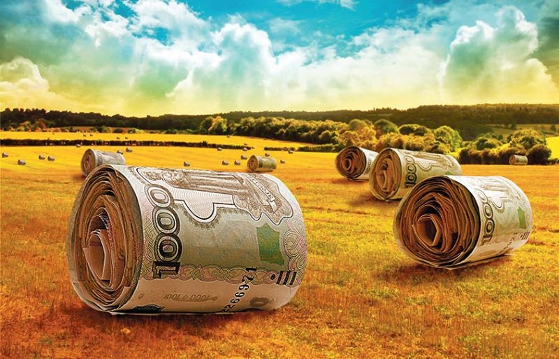 Из-за нерасторопности чиновников Ростовской область рискует потерять 30%  федеральной субсидии на сельское хозяйство