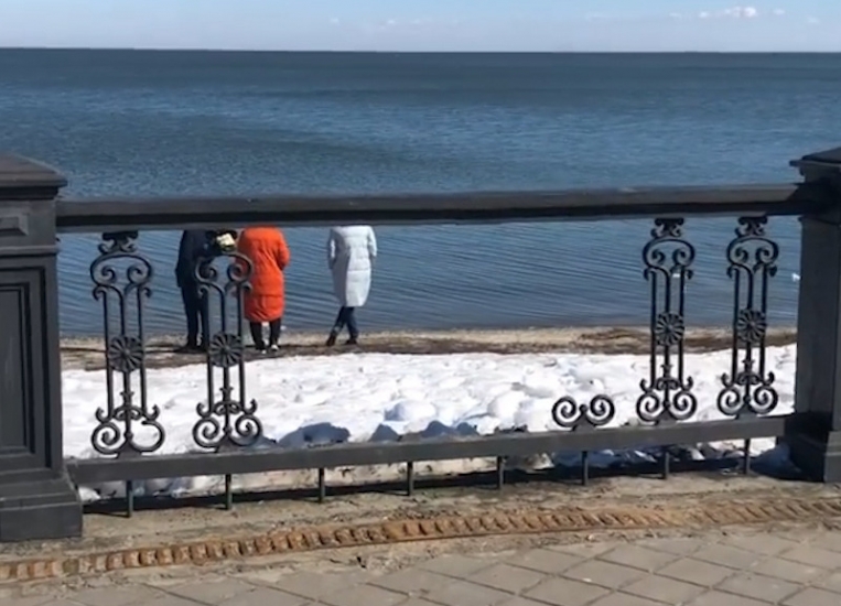 Жители Таганрога в рамках флешмоба #ПозвониВасилию пожаловались на состояние набережной Жители Таганрога в рамках флешмоба #ПозвониВасилию пожаловались на состояние набережной