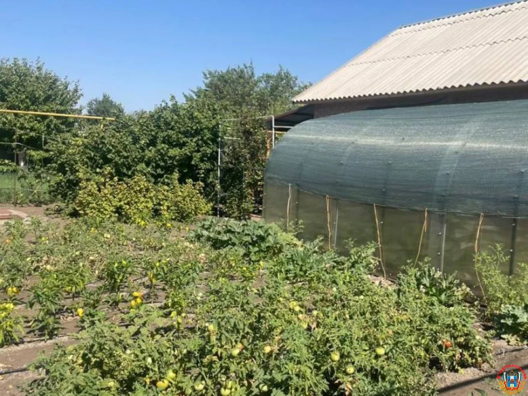 Что нельзя строить на дачах напомнили садоводам из Ростовской области