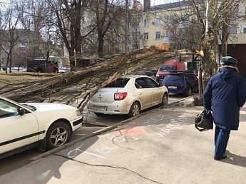 В Ростове объявили штормовое предупреждение