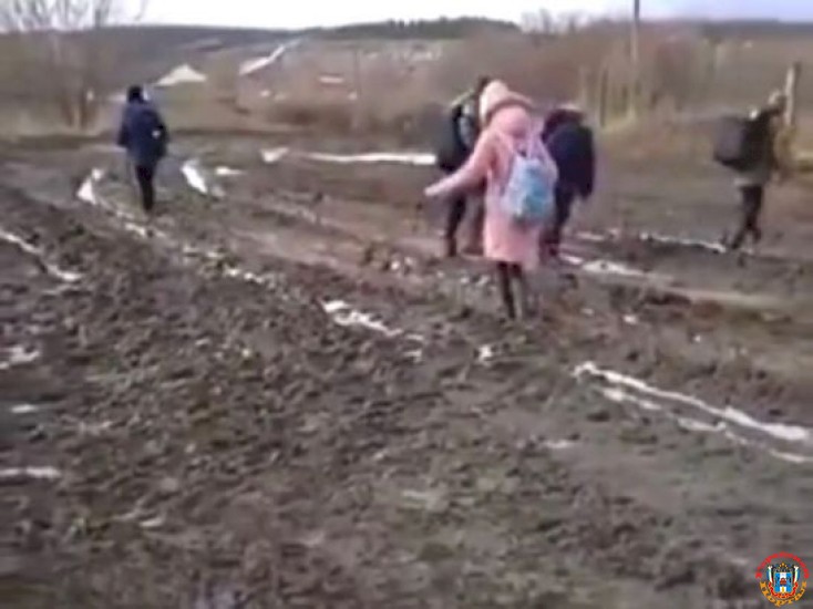 После публикации об отсутствии дороги к школе прокуратура Ростовской области начала проверку